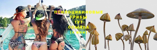 марки nbome Верея